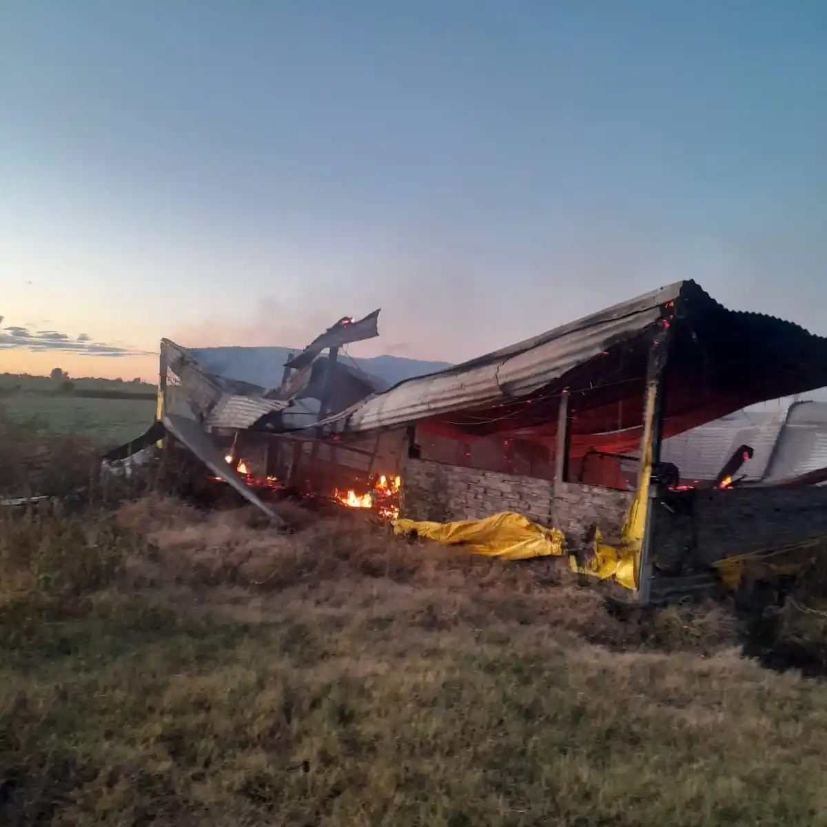 Incendio en establecimiento rural de Lucas Sud: murieron cerca de 500 animales porcinos