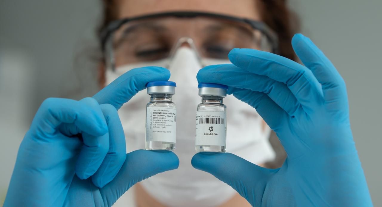 Prometedor hallazgo: Investigadores argentinos desarrollan suero para neutralizar el COVID-19