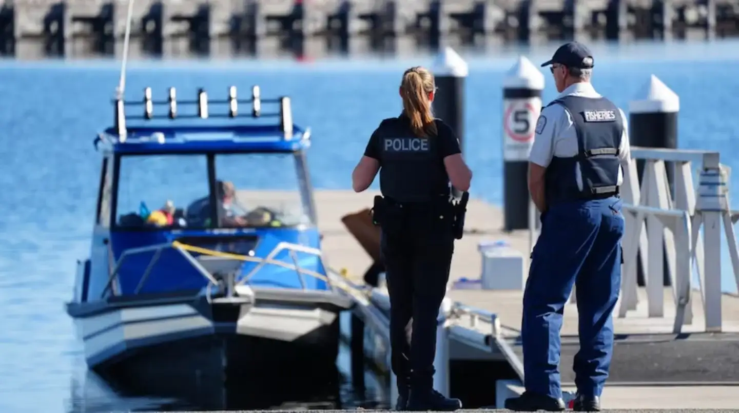 El buzo fue mordido en el agua y trasladado de urgencia en una embarcación hasta la Albany Waterfront Marina.