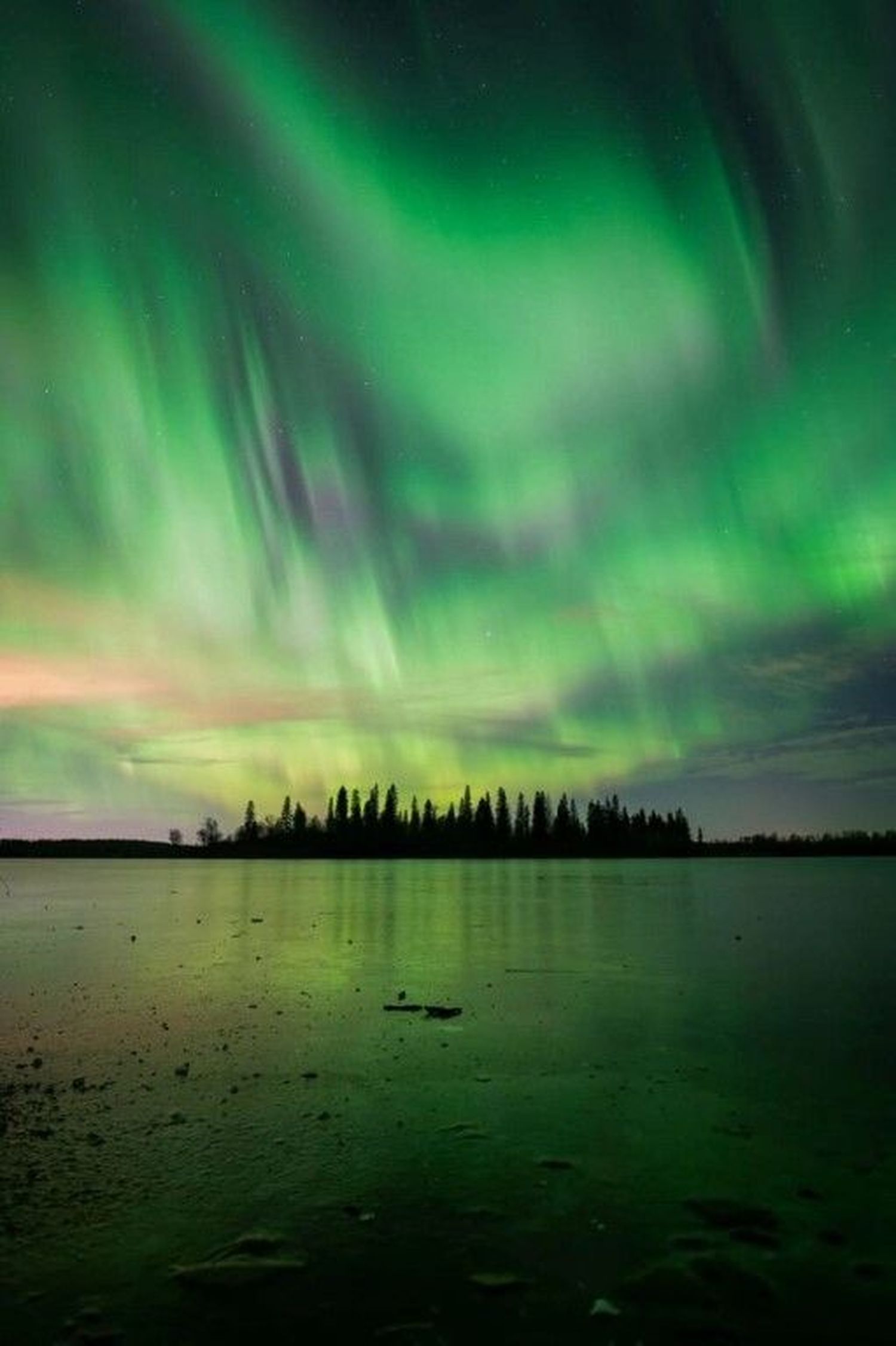 Aurora Boreal