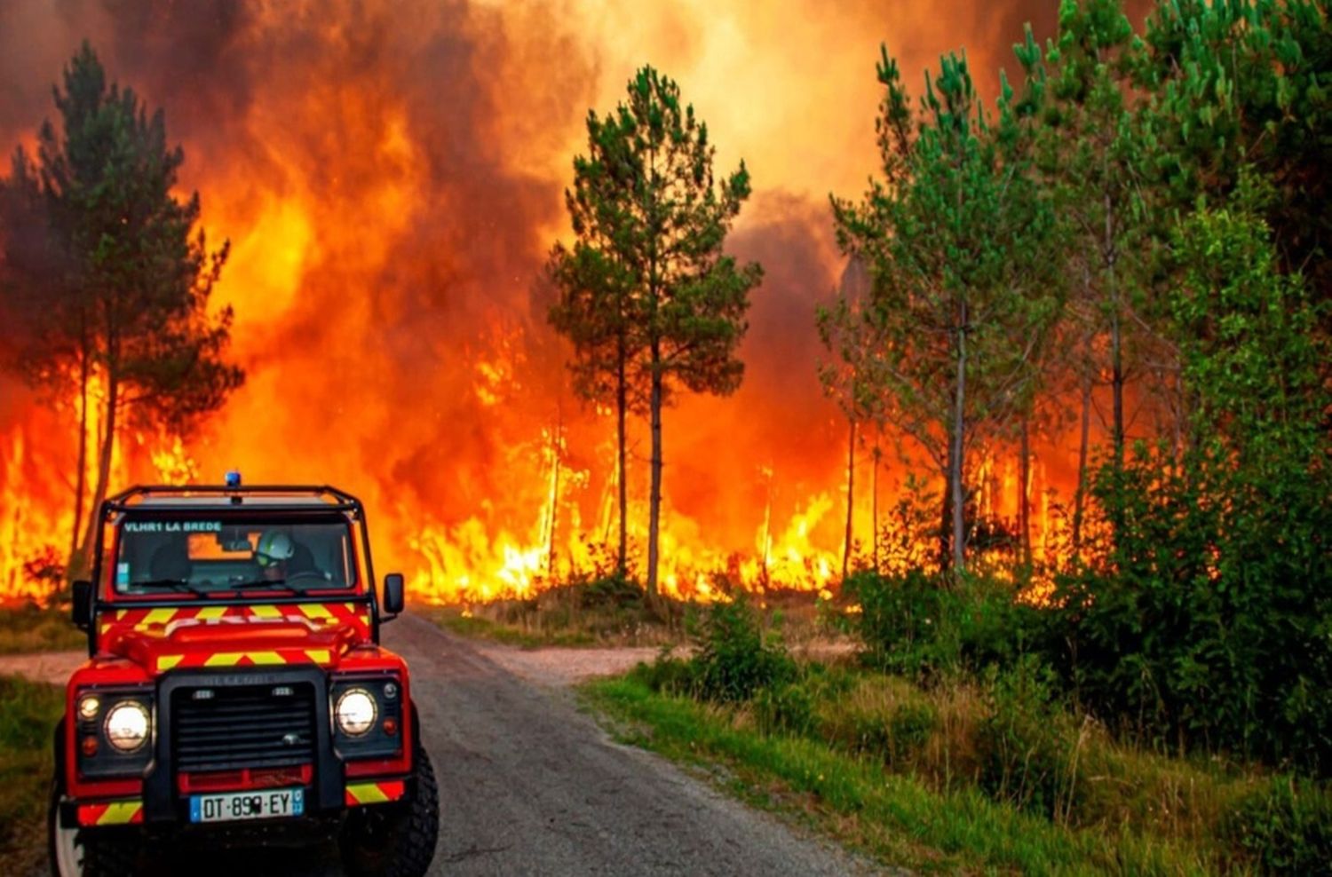 Sigue la ola de calor en Europa: España registró 360 muertes y las temperaturas superaron los 40 grados