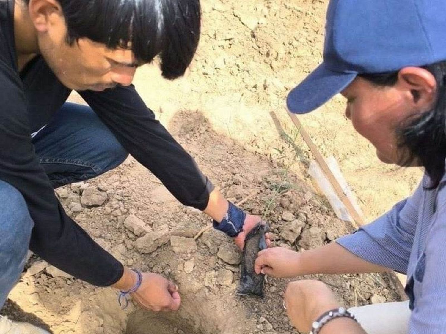 Avanza la tarea de recuperación
de suelos degradados en El Chorro