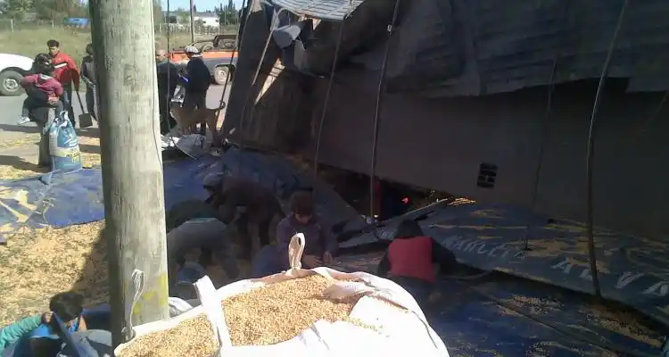 Vecinos saquearon carga de maíz de camión que volcó frente a Arcor