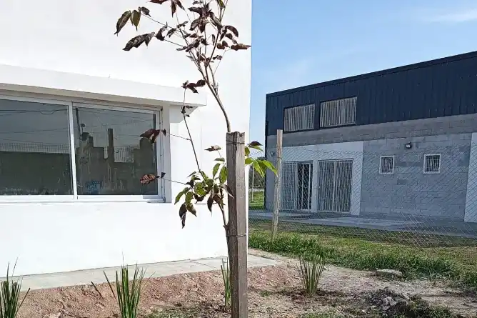 Plantaron lapachos, ceibos, dietes y fresnos en el Centro Universitario y el Jardín Clarisa Amézaga