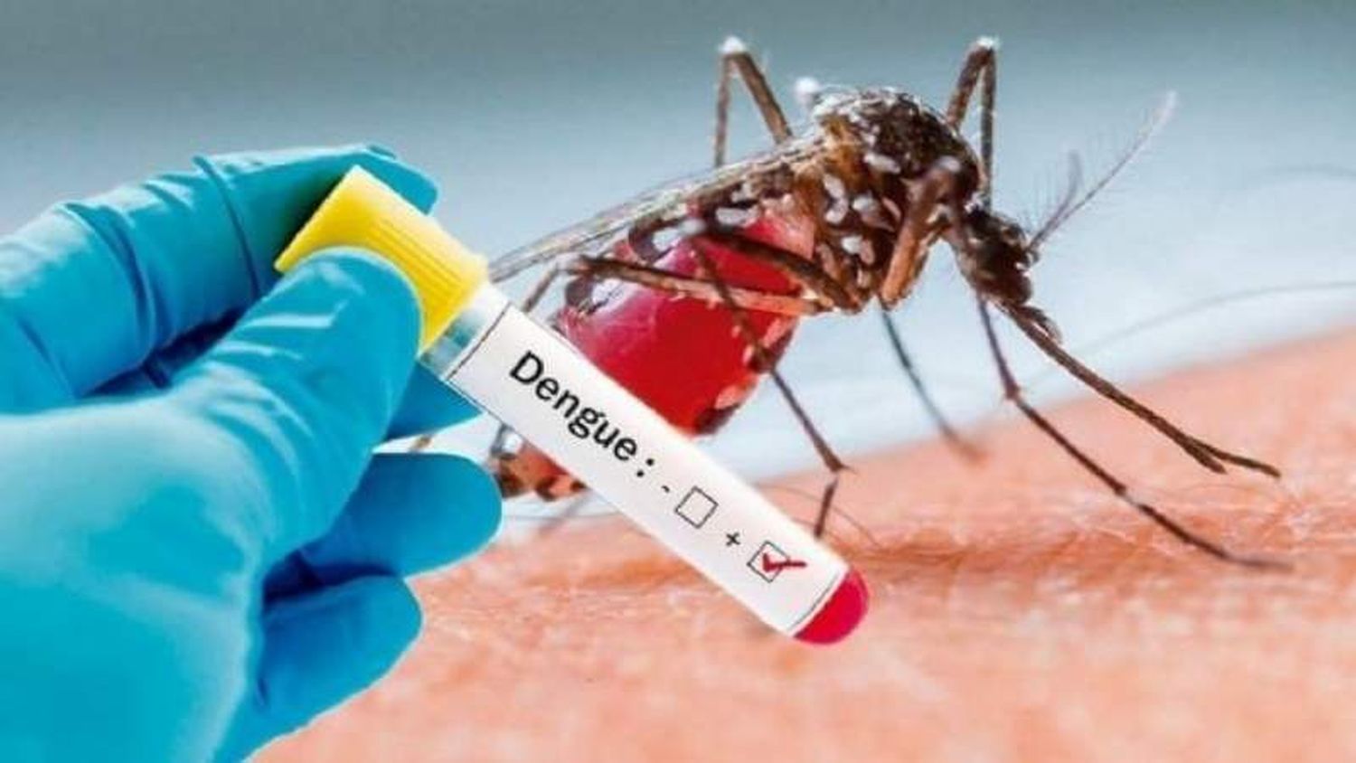 Tres casos activos de dengue en la región Reconquista