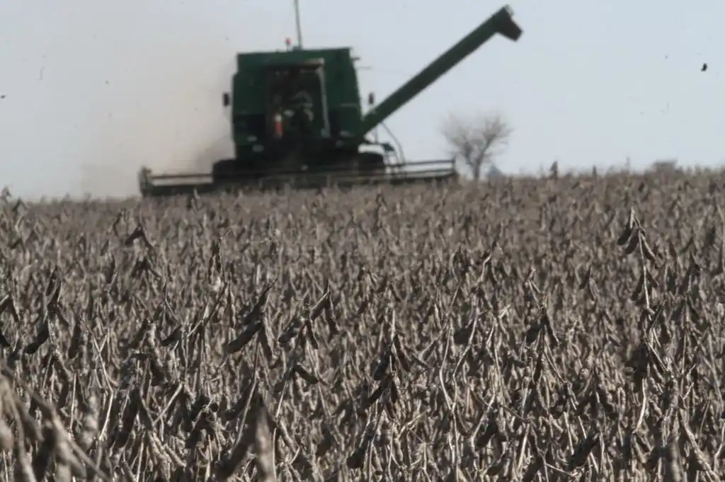 Agroindustria recortó en 300 mil toneladas su estimación para la cosecha de soja