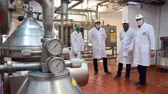 Las exportaciones de lácteos alcanzaron un récord de US$1.400 millones