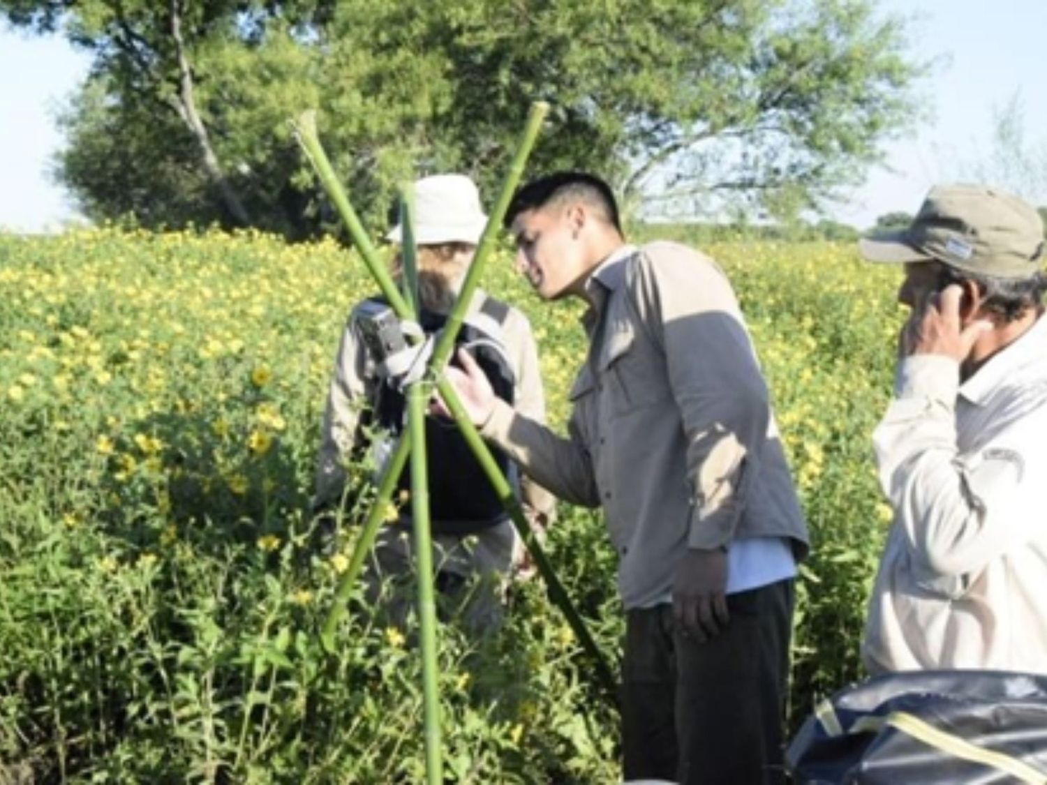 Realizan monitoreo de nidificación del yacaré overo en el Parque Nacional Pre Delta