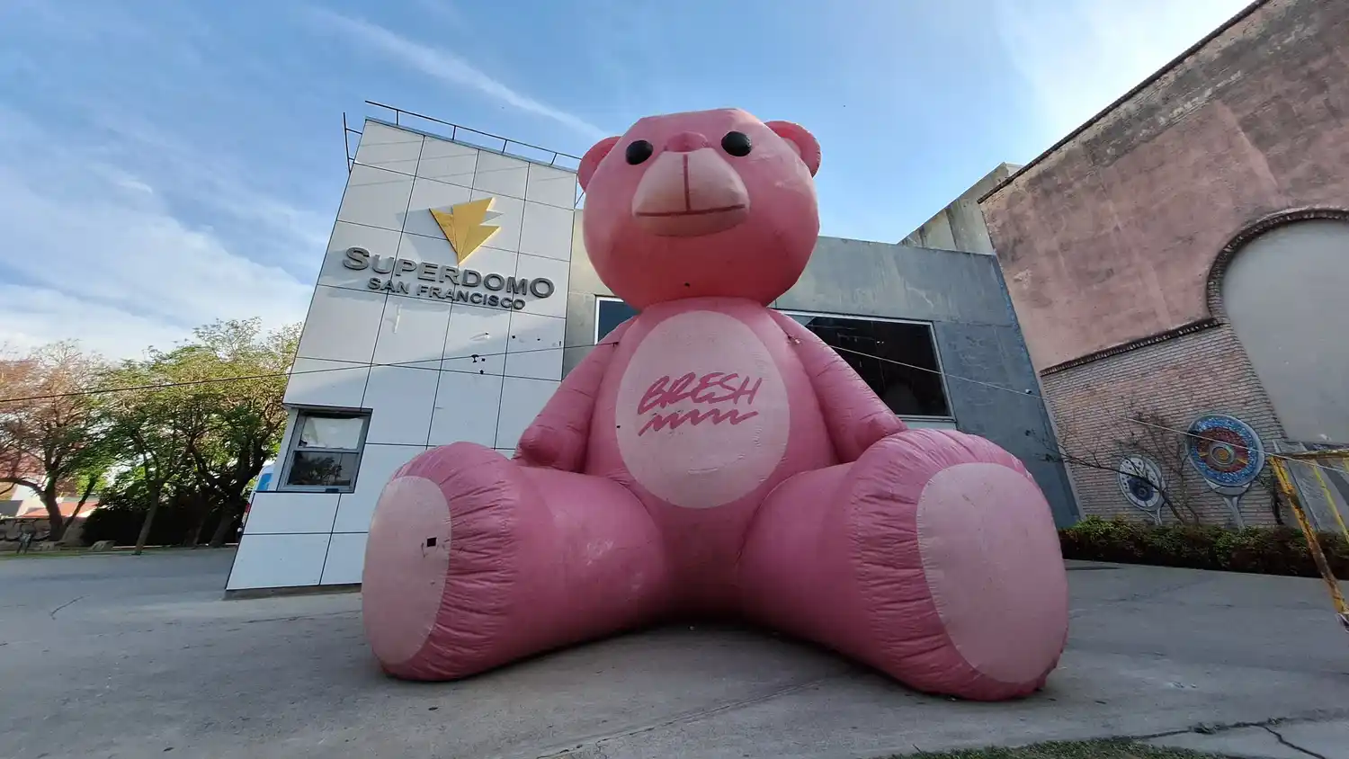 El oso de Bresh sorprende a todos en San Francisco