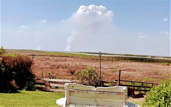 Ecocidio en islas: a casi un mes del nuevo operativo, definirán esta semana la continuidad del servicio