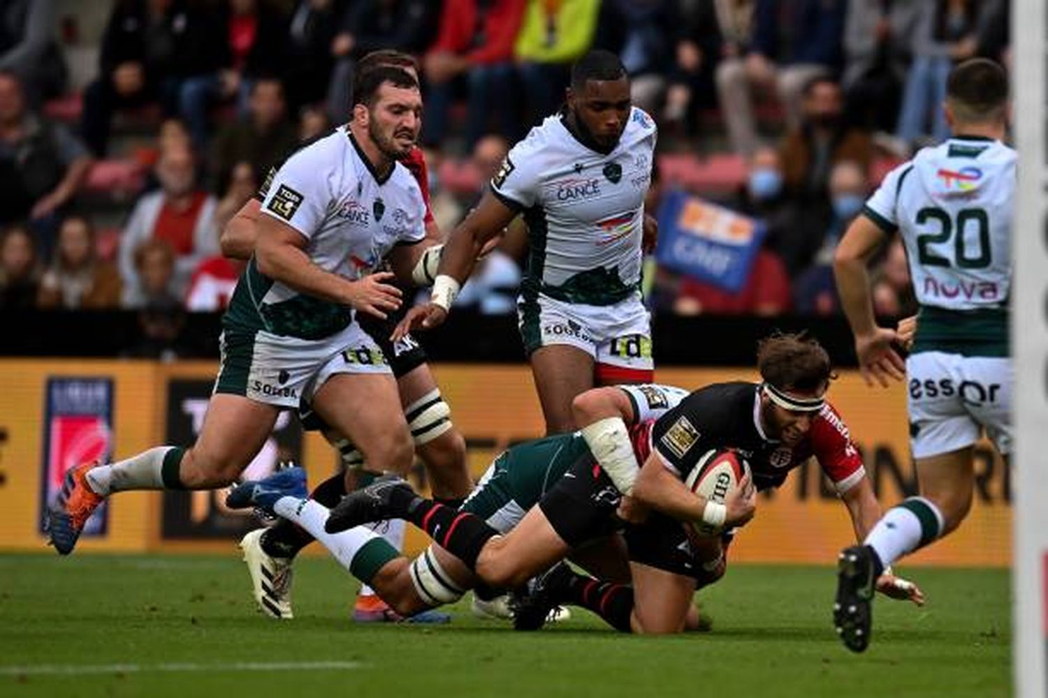 Pau, con Calles de titular, no pudo con Stade Toulousian