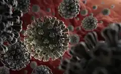 Coronavirus: fuerte salto de contagios en 24 horas