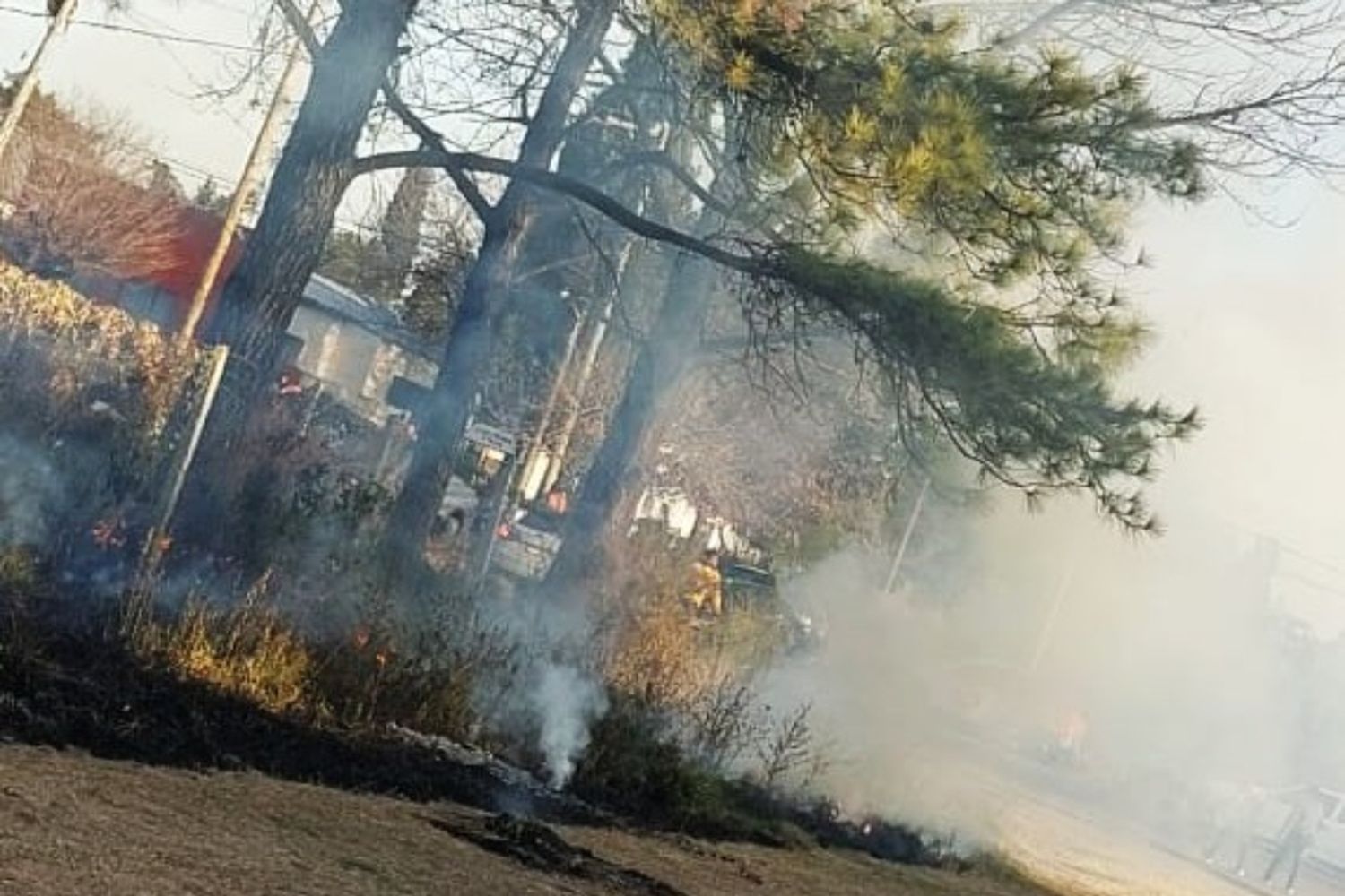 Bomberos controló incendio de pastizales en Los Cuatro Robles, que avanzaba hacia viviendas