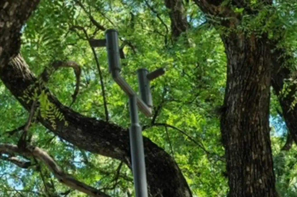 Rosario: se robaron gran parte de las luces del Parque
