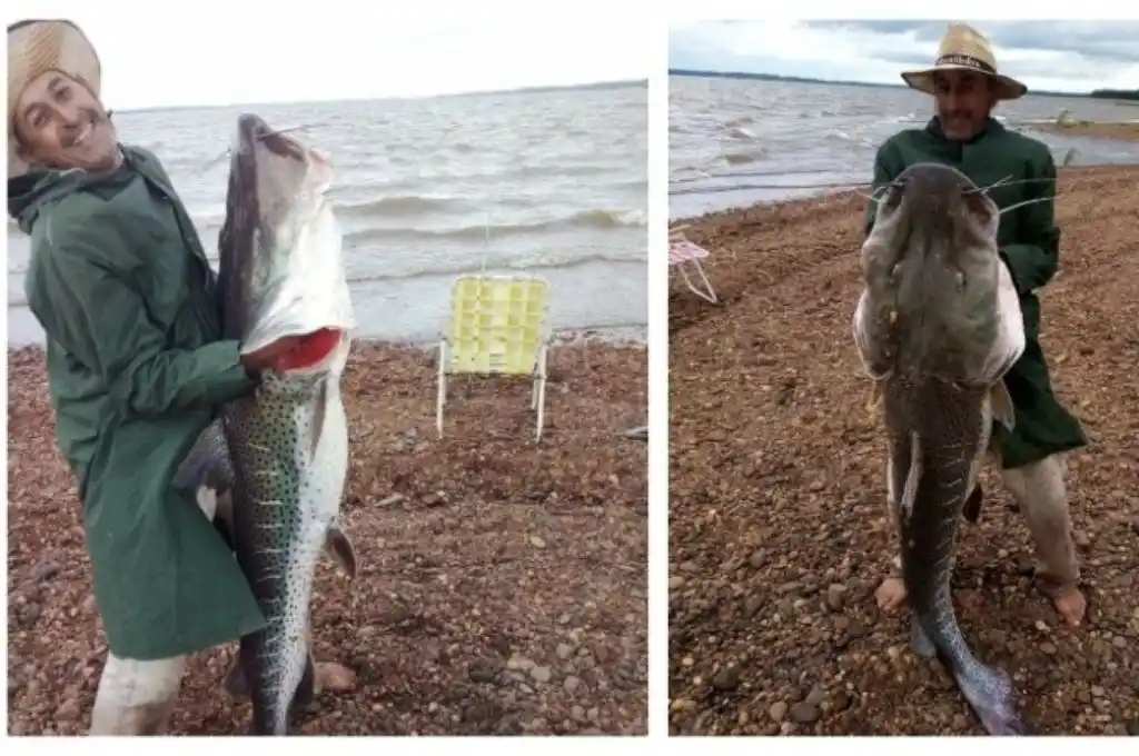 Polémica: pescó un surubí de 52 kilos en una reserva natural y no lo devolvió