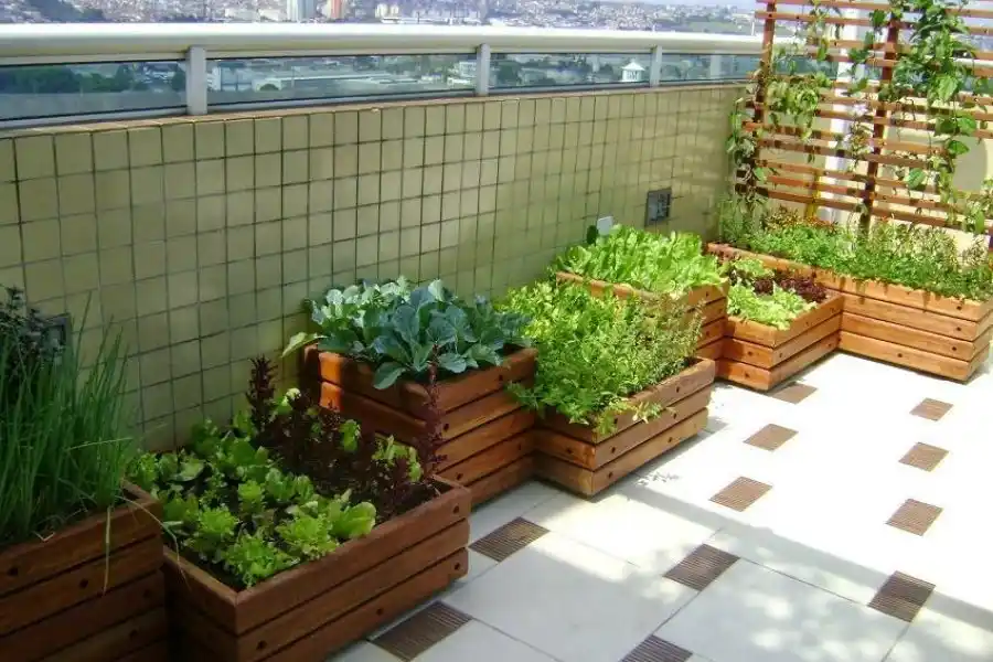 Comenzaron los talleres de huerta en los barrios: “Buscamos que sea un espacio de disfrute”