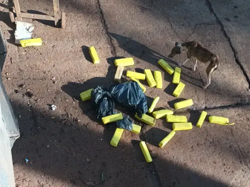 Gendarmería incautó 24 kilos de marihuana dentro de un contenedor de basura - 3