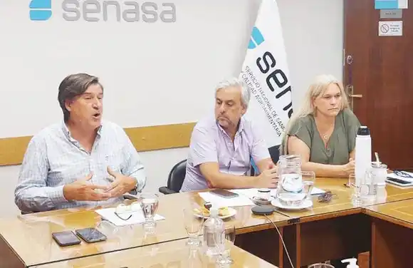 Senasa aclara que la influenza aviar no representa  un peligro para la población