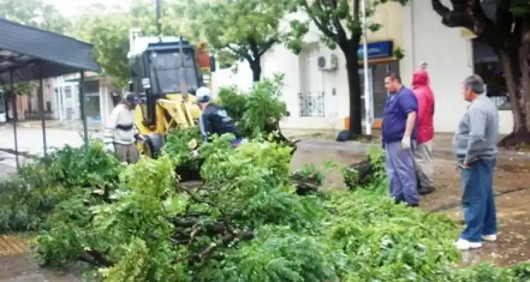 Postes, árboles y ramas caídas tras la tormenta