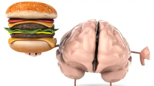 ¿Puede la comida chatarra causar daño cerebral?