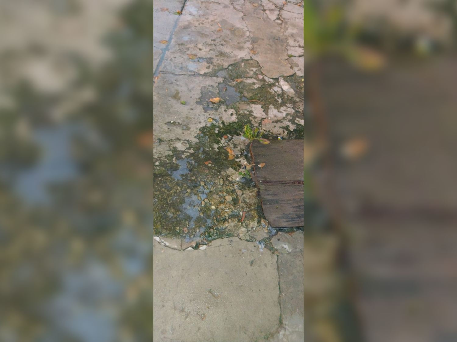 Cloacas tapadas en Las Provincias y Aulí: ''Ya nos acostumbramos''