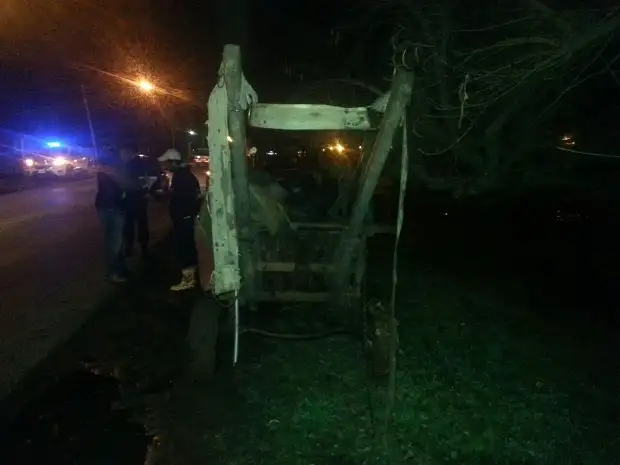 Dos hombres demorados en Policía por malos tratos a un caballo exhausto