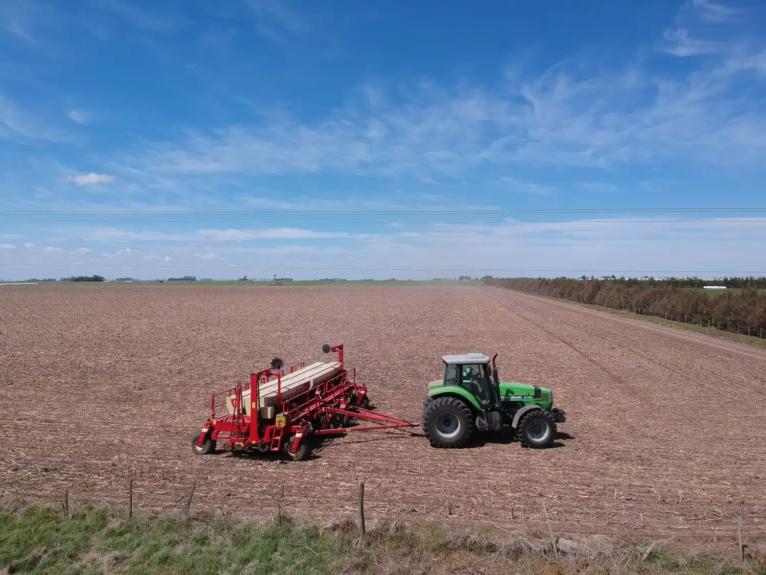 Ayudarán a productores que siembren hasta 400 hectáreas de soja y 100 de maíz
