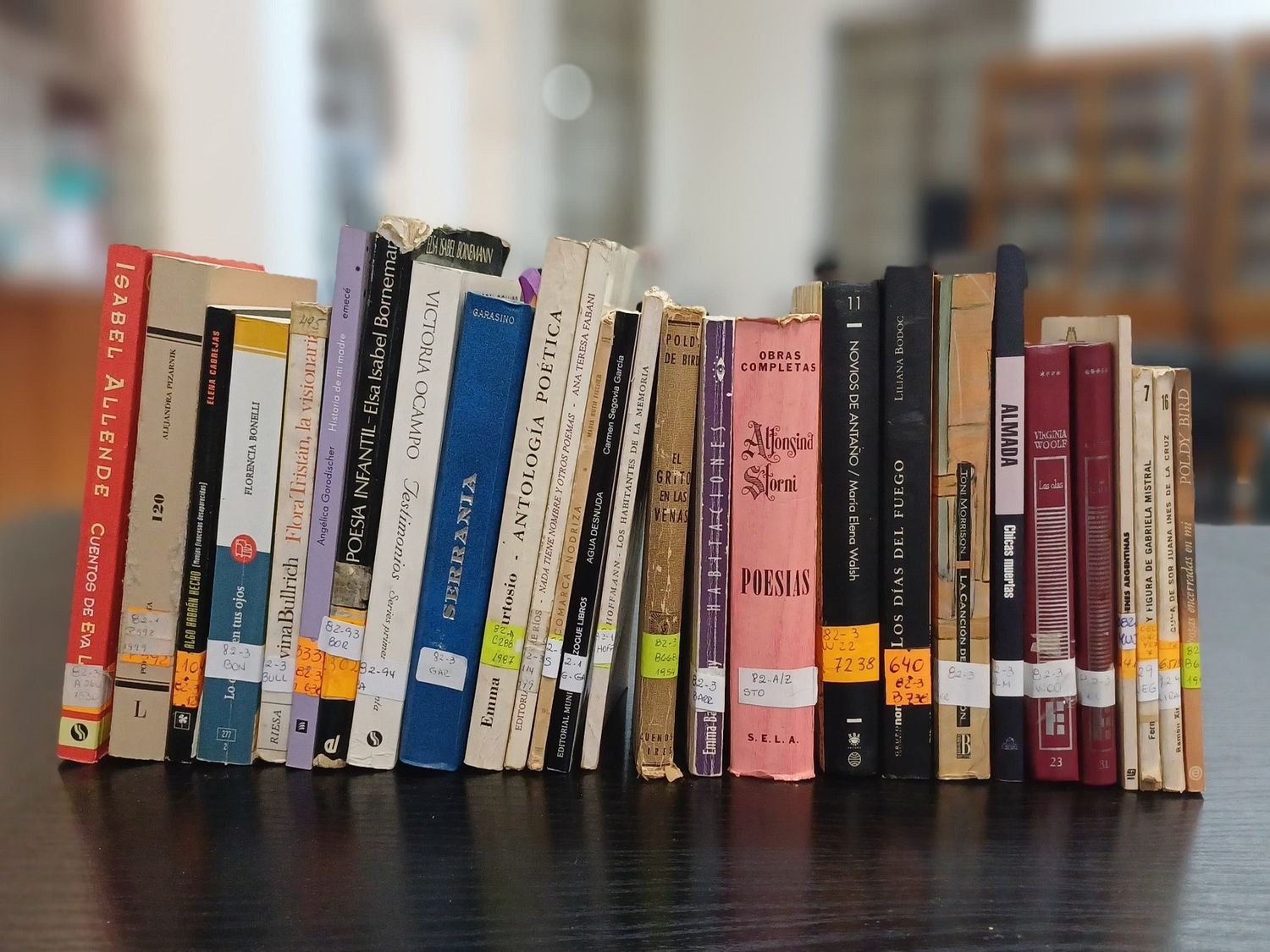 Homenaje a escritoras en la Biblioteca Provincial de Entre Ríos