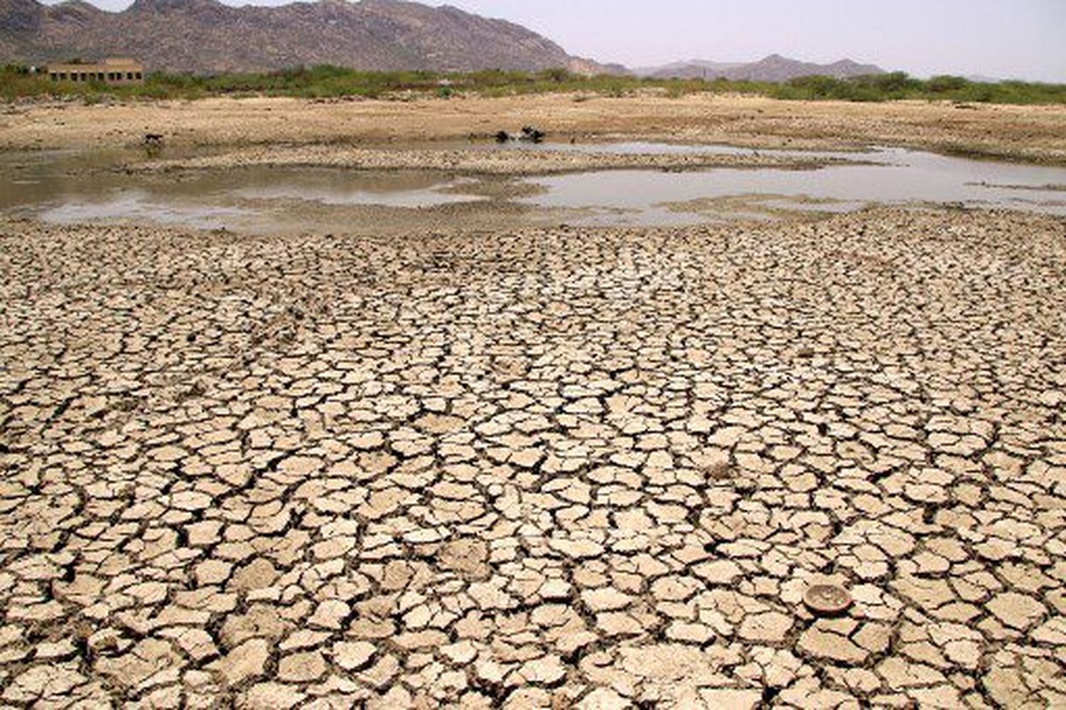 ONU alerta que en 2024 se puede batir récord de calor: PLANETA AL BORDE DEL ABISMO