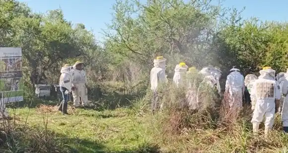 Con capacitación, apicultores entrerrianos mejoran su eficiencia productiva