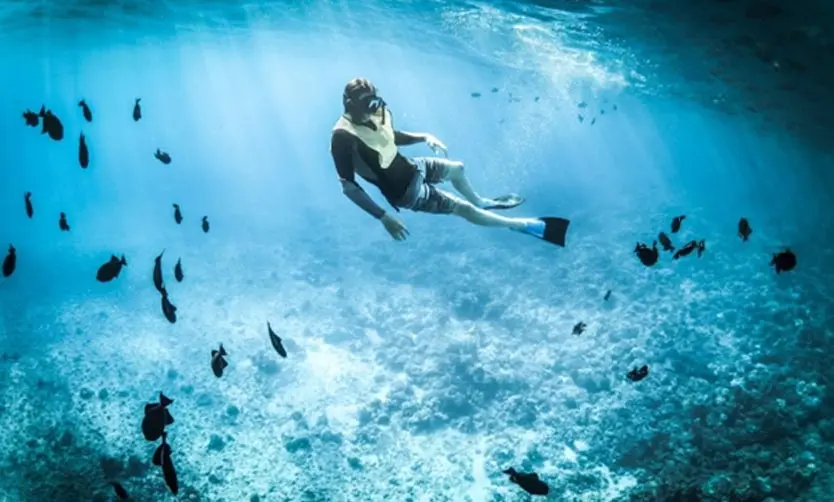 Por qué Dive Center es referente en formación acuática en Argentina