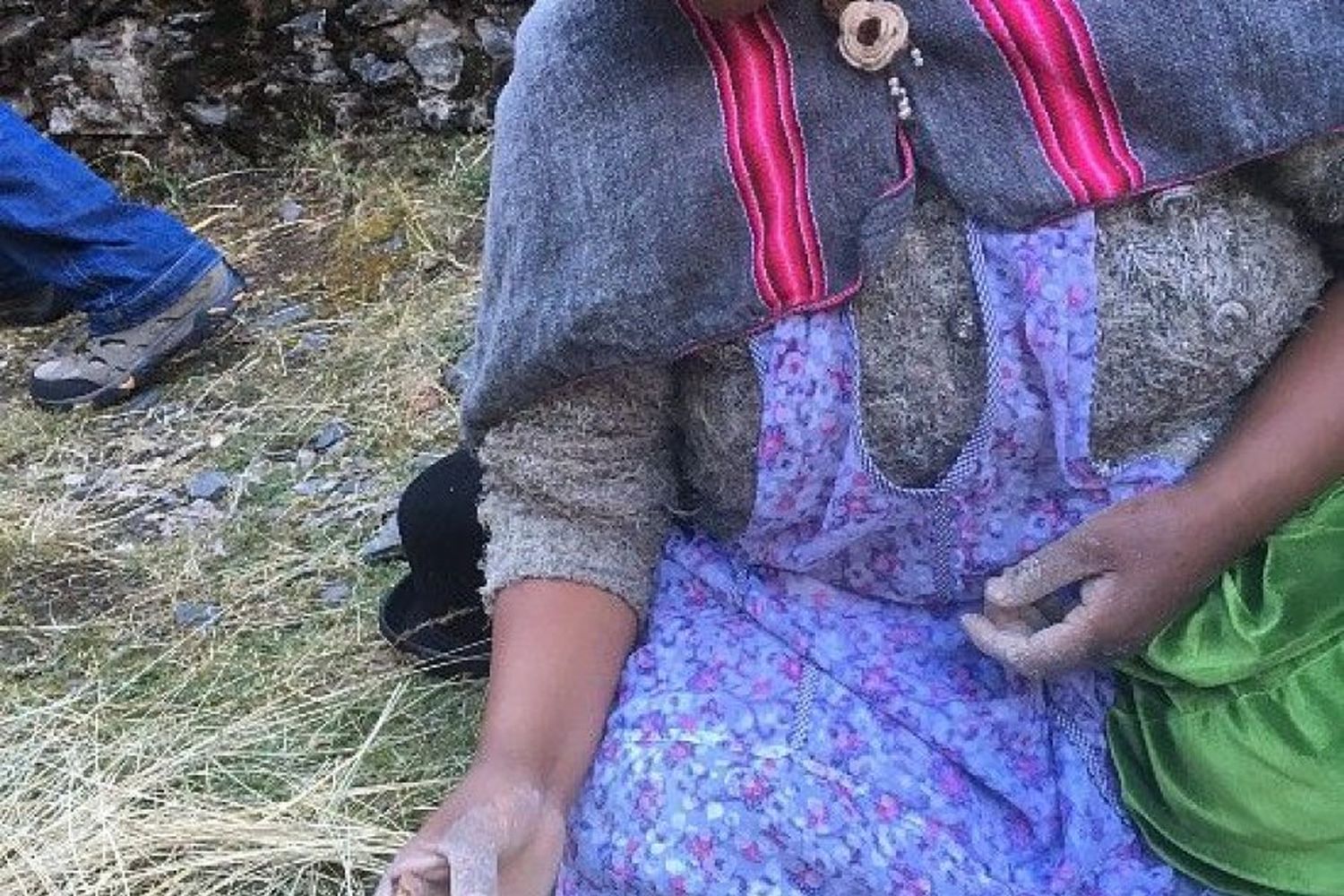 Saladino viajó a los Andes bolivianos para conocer el cultivo y la preparación de oca (khaya en Quechua).