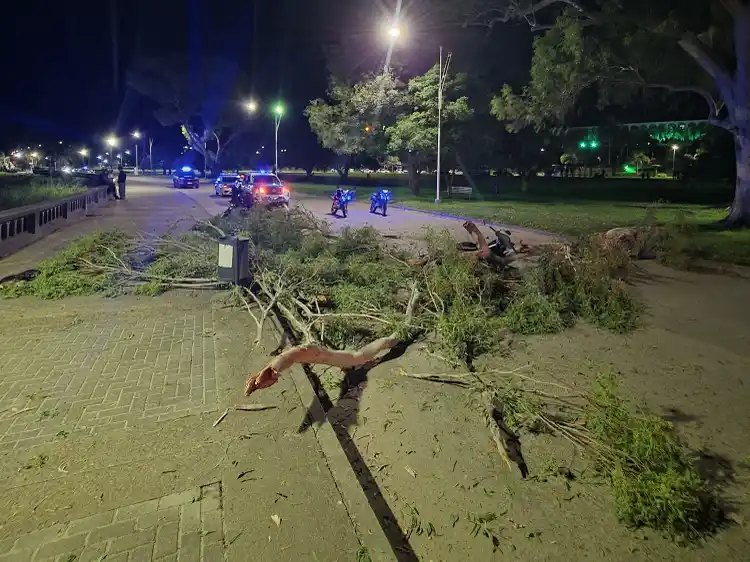 Victoria: un motociclista sufrió graves heridas tras un accidente provocado por la caída de una rama