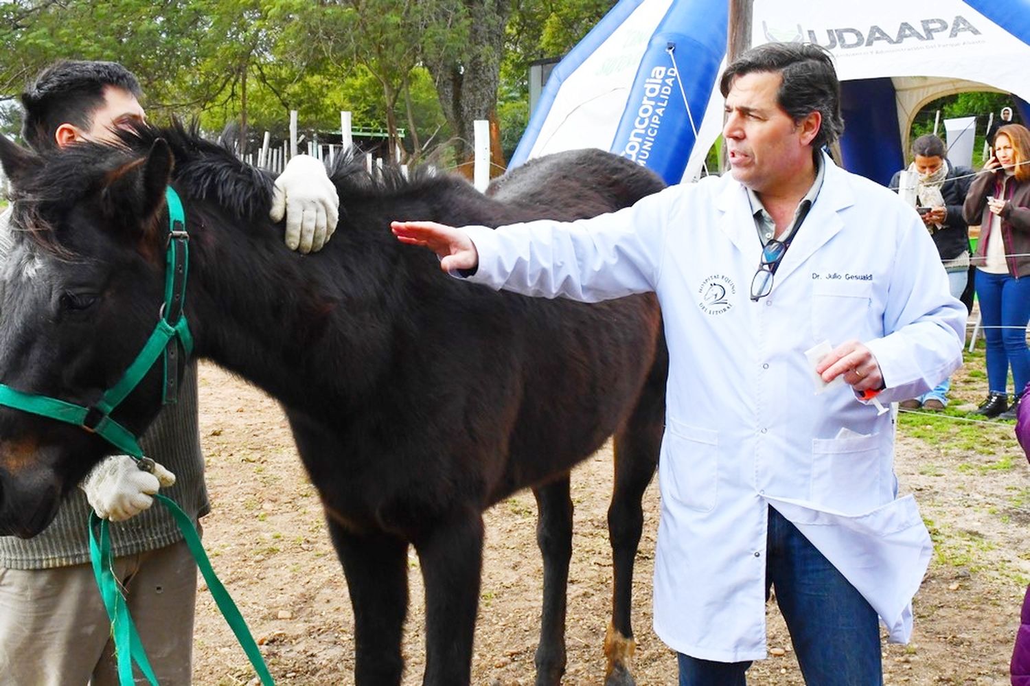 Más equinos recuperados en el Centro de Cuidado Ecuestre comienzan una nueva vida en el campo