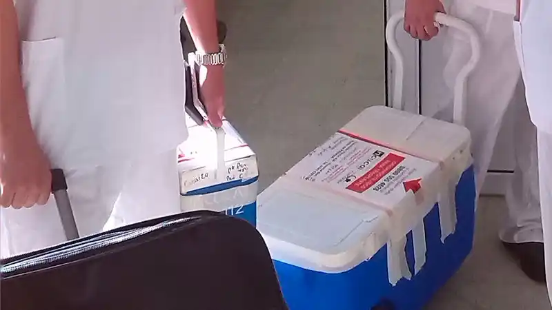 Diez personas serán trasplantadas gracias a dos operativos de donación de órganos y tejidos en Crespo y Concordia