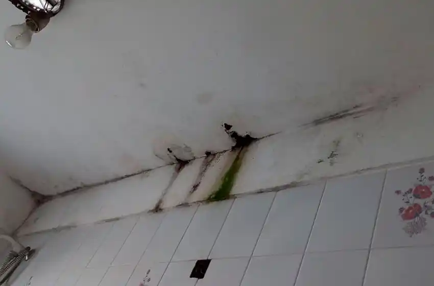 Jardín 909: "Se llueve todo, además de haber alimañas, cucarachas, roedores y palomas"