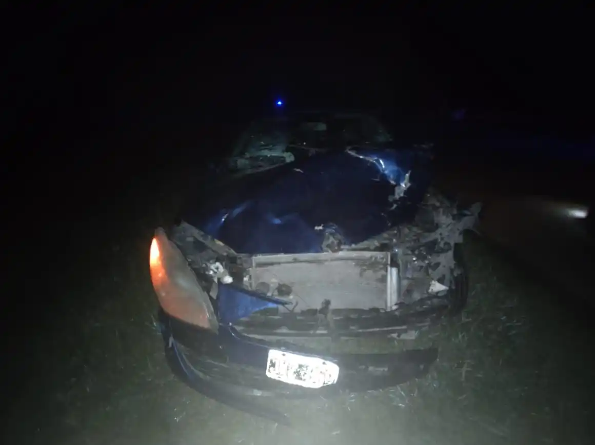 Tresarroyense lesionada tras chocar un animal en la ruta 85