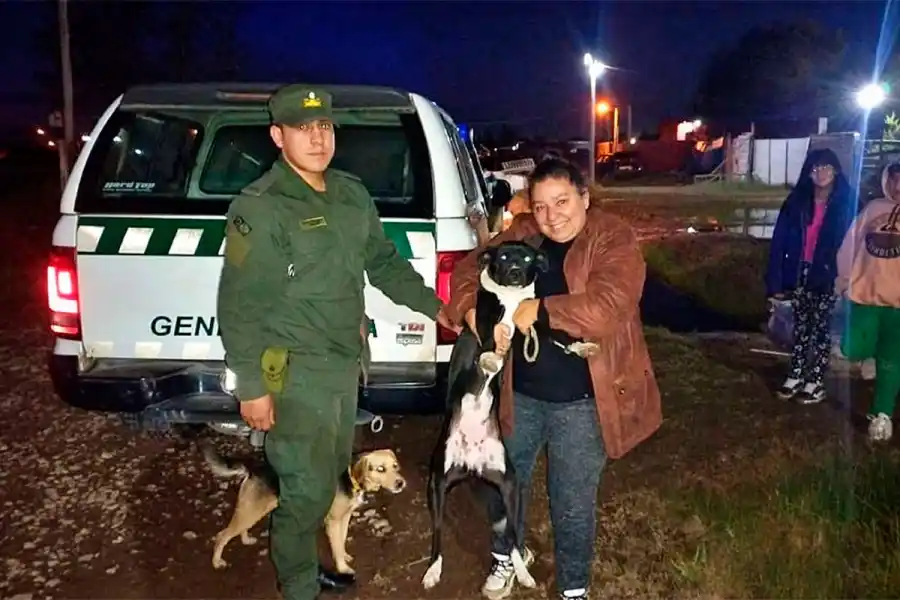 Gestos que emocionan