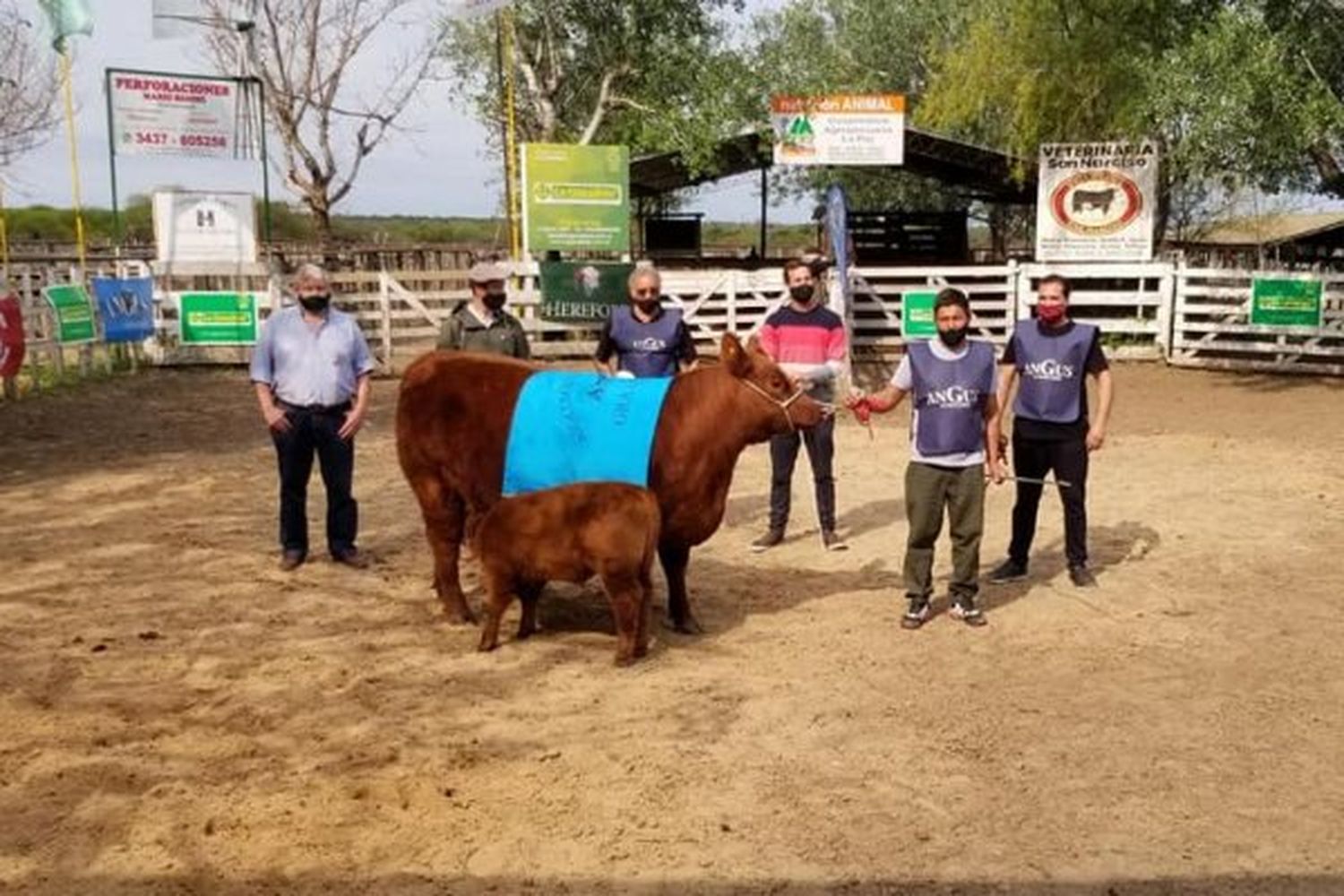 Buenos ánimos en el arranque de la ronda de exposiciones ganaderas