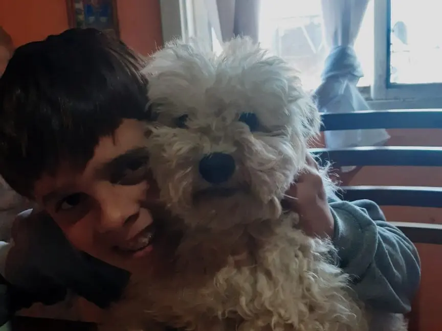 Dueños buscan al perro Pelusa