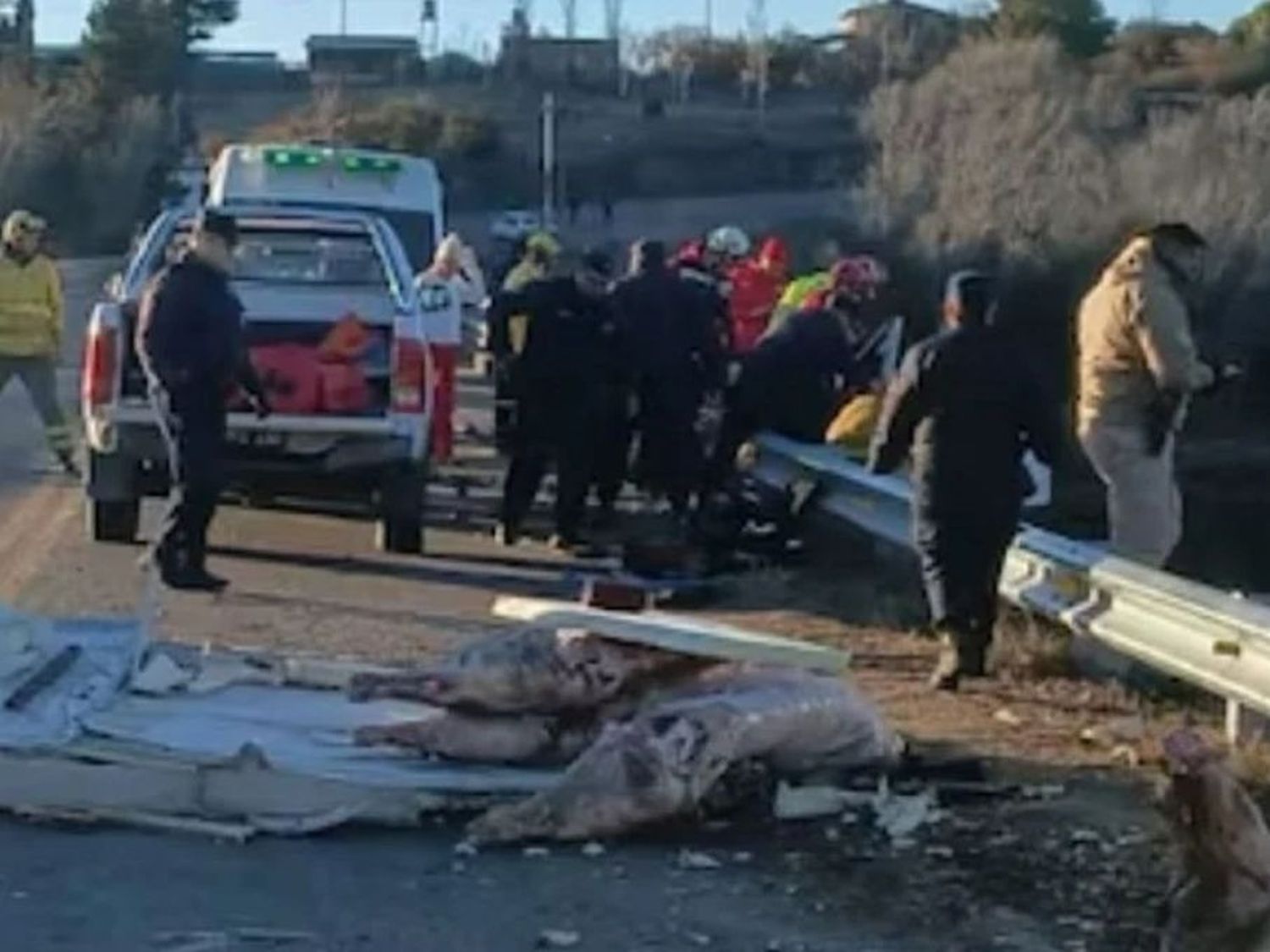 camión cayo al rio en Córdoba 1