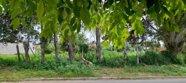 Terreno abandonado y sucio