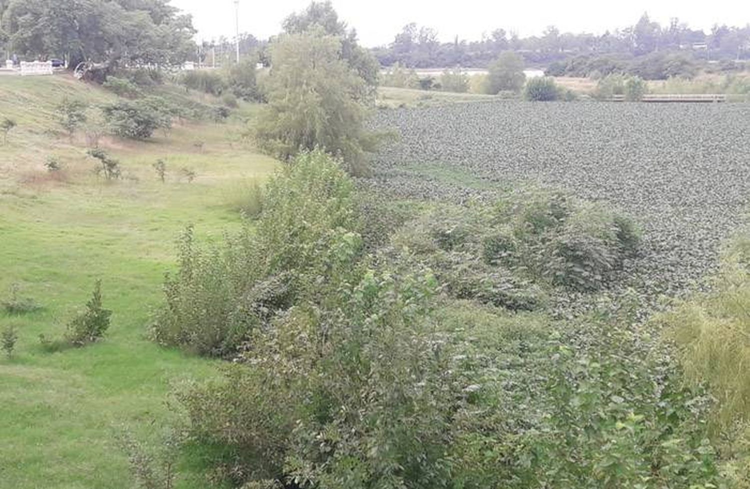 Convocan a asamblea de visibilización y limpieza en el arroyo Manzores