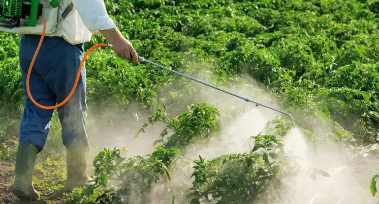 Agroquímicos en Pergamino: Solicitan juicio oral para propietarios de campos por contaminación