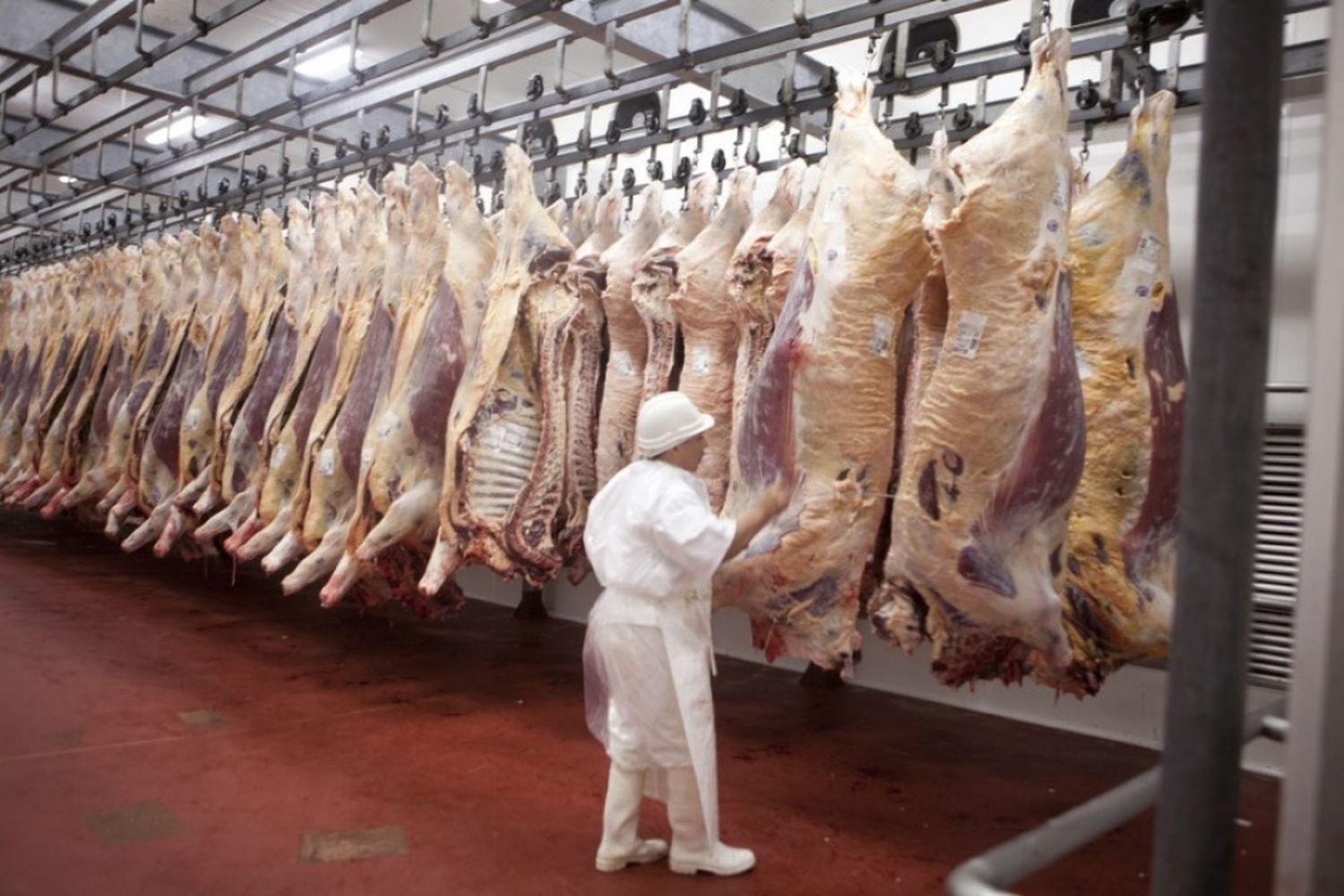 China autorizó nuevos frigoríficos para exportar, varios de ellos están en la Provincia