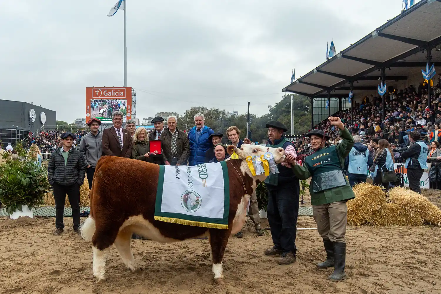 La Gran Campeón Hembra Hereford de Palermo fue para Las Tranqueras