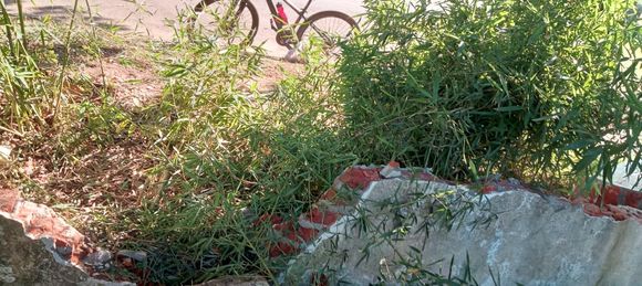 Un auto pasó de largo en el Nuevo Boulevard y terminó en el patio de una casa