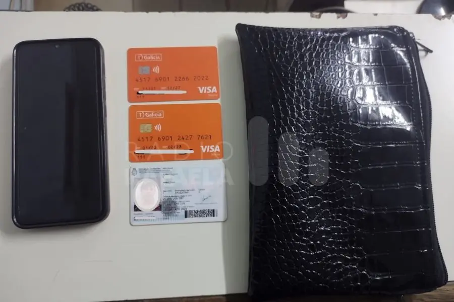 Un joven de 21 años le robó celular, cartera y documentos a una mujer.