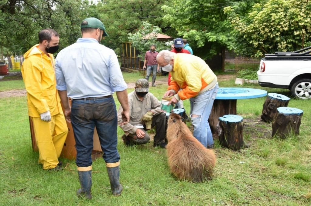 Liberaron a 17 animales en un santuario natural en Entre Ríos