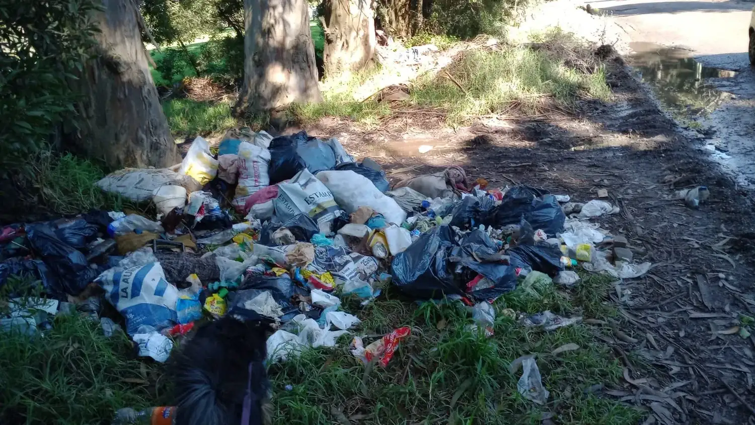 Parque Camet: denuncian abandono, tala y avance de privados